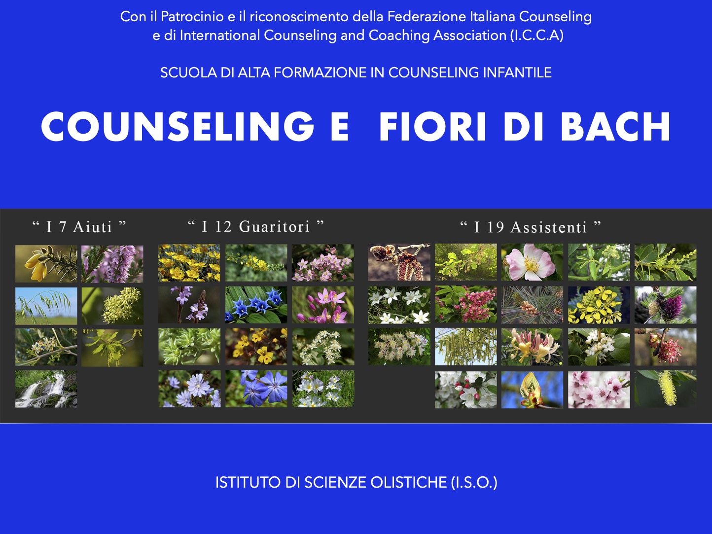 I fiori di Bach