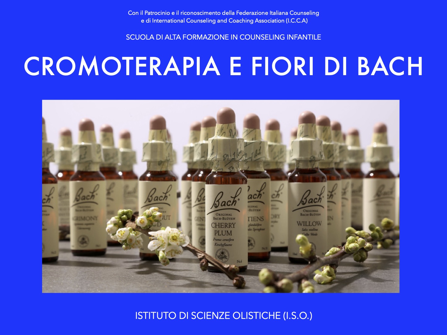 Cromoterapia e fiori di Bach