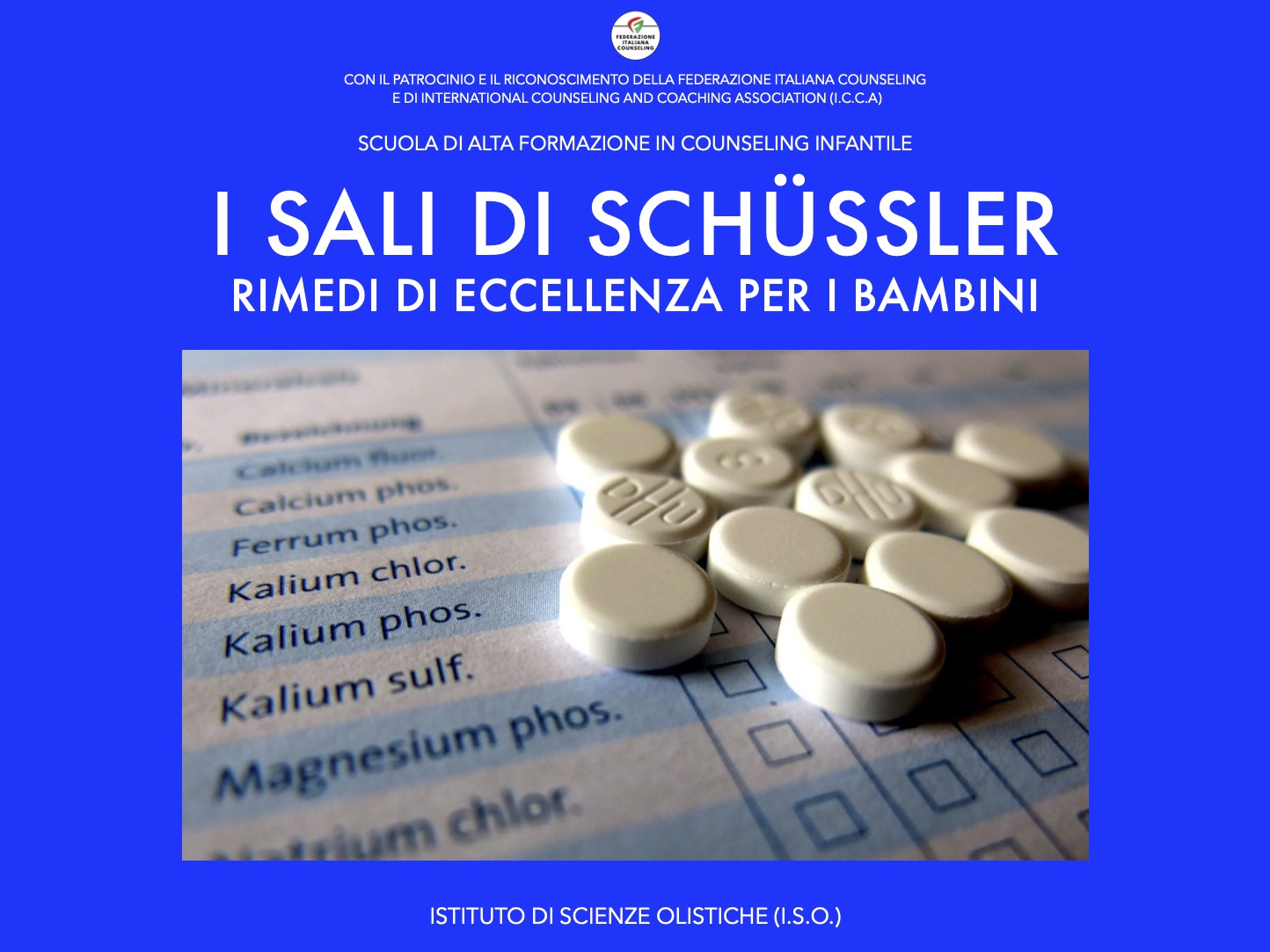 I sali di Schussler